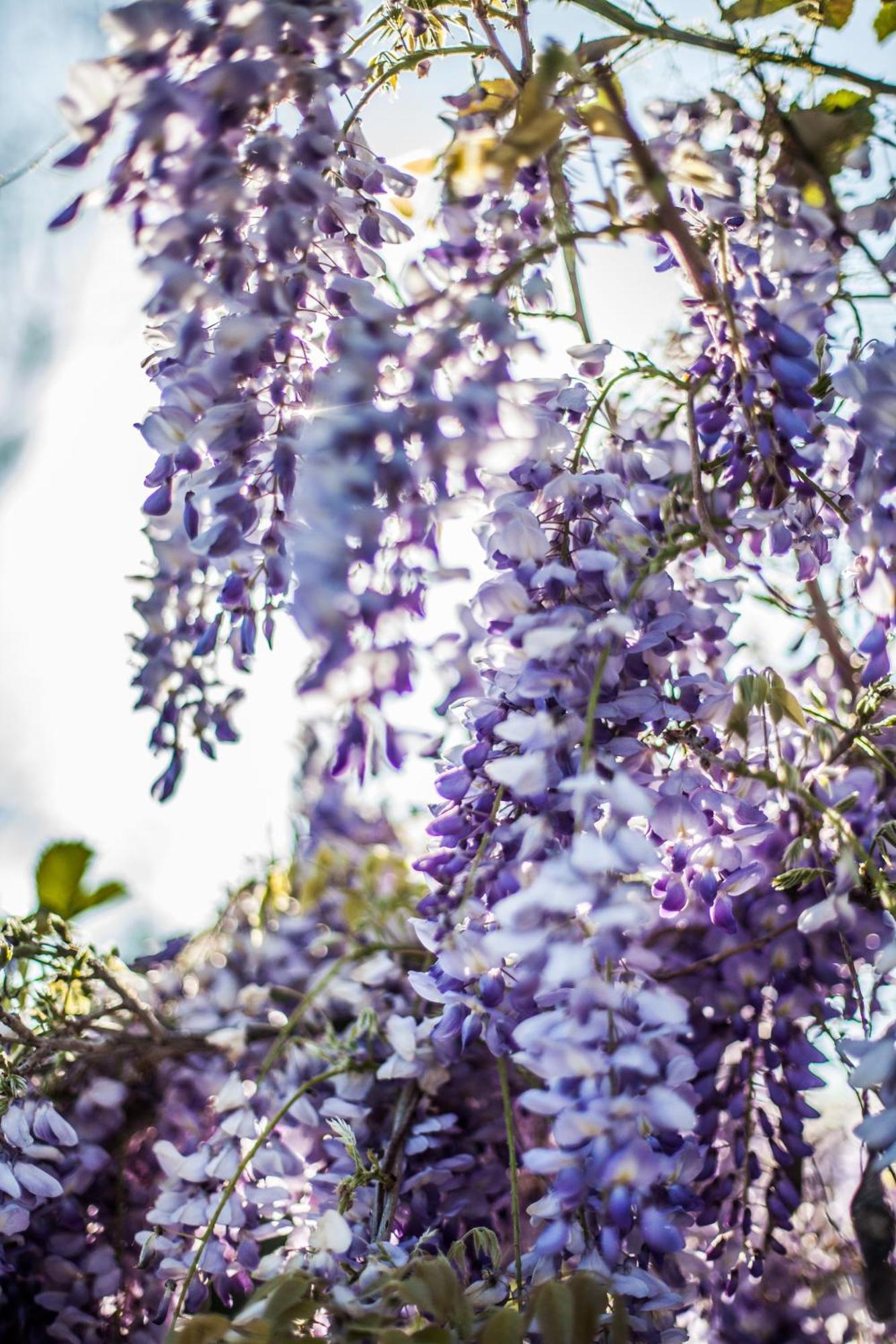 B&B La Villa Giardini-Naxos Zewnętrze zdjęcie